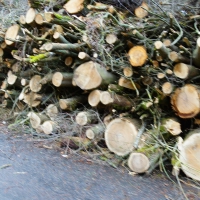 Angersbach DSC06781.jpg